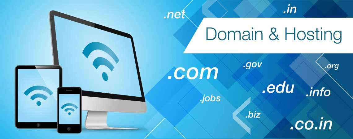 Domain & Hosting Danışmanlığı